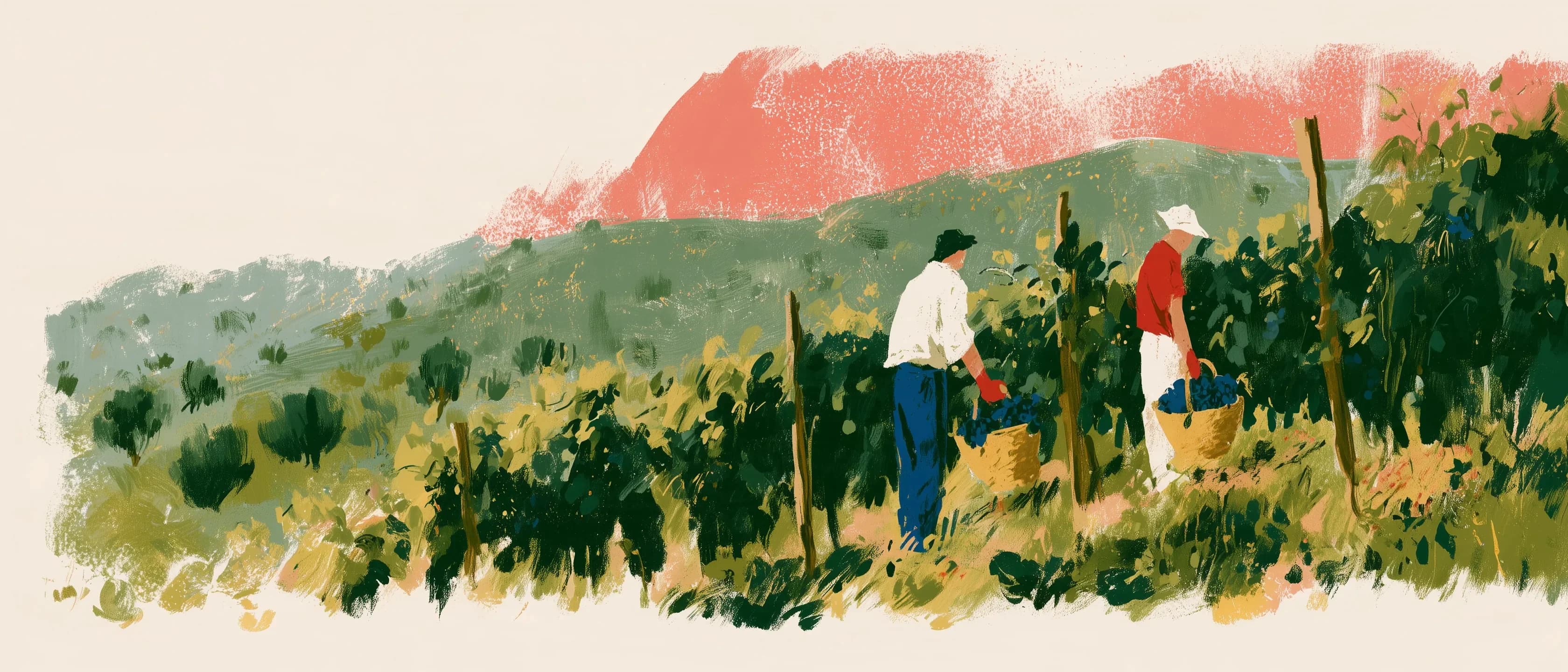 Two people working down a row of vines, cutting bunches into baskets by hand.